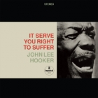 John Lee Hooker - It Serve You Right to Suffer
